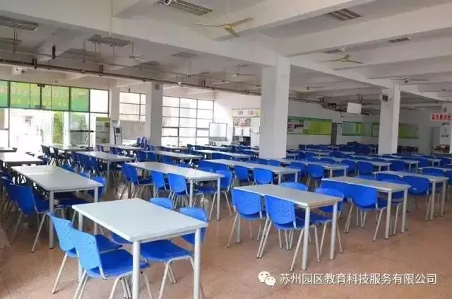 小学生篮球训练总结及心得体会简短_0
